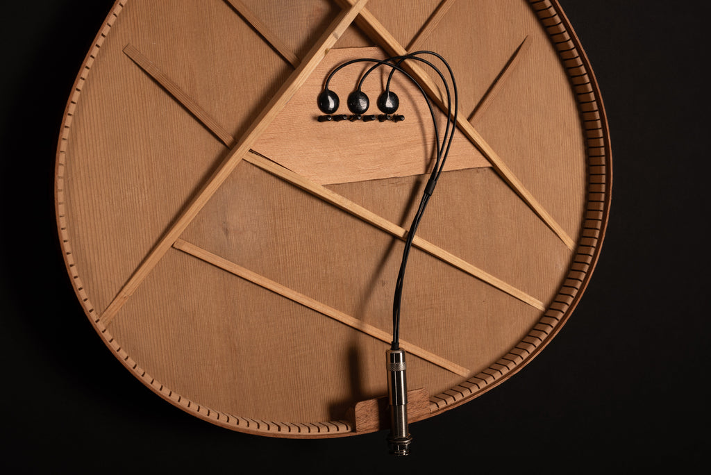 NS3 Natural Sound 3 Sensor Passive Pickup